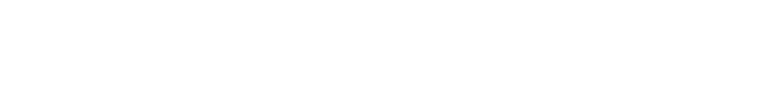 WEB STORE